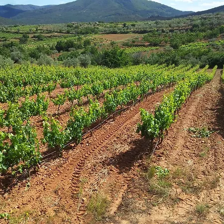 El Mirador Del Soto Sotoserrano
