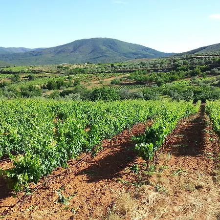 דירה El Mirador Del Soto Sotoserrano