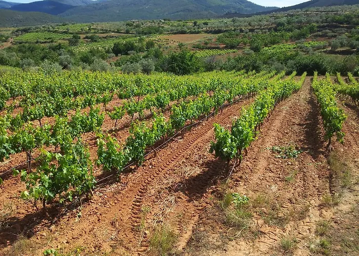 El Mirador Del Soto Sotoserrano