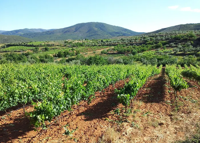 Appartamento El Mirador Del Soto Sotoserrano